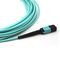48 cordón de remiendo de la fibra G657A2 MTP Mpo SM OM3 OM4 OM5 opcional