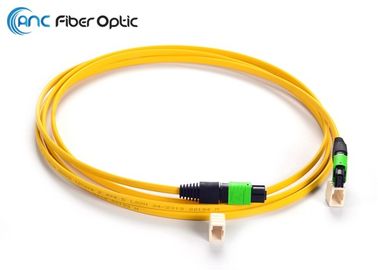 Tipos de cable de fribra óptica de la cinta hembra de la fibra MPO del SM OM3 12 a la hembra de MPO