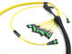 Asambleas de cable de fribra óptica del SM OM3 OM4 MPO modificadas para requisitos particulares para el cableado de 40G 100G